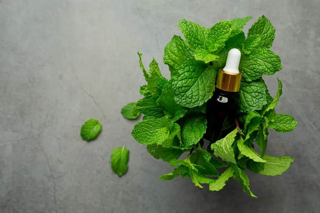 روغن نعناع